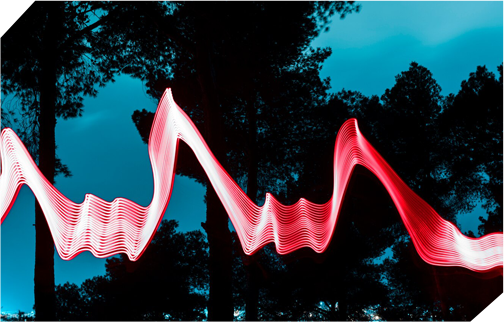 Dynamics and FX
