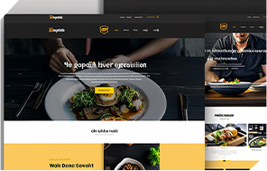 Web Designer
