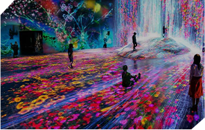 Interactive Media Artist