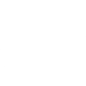 Suno AI